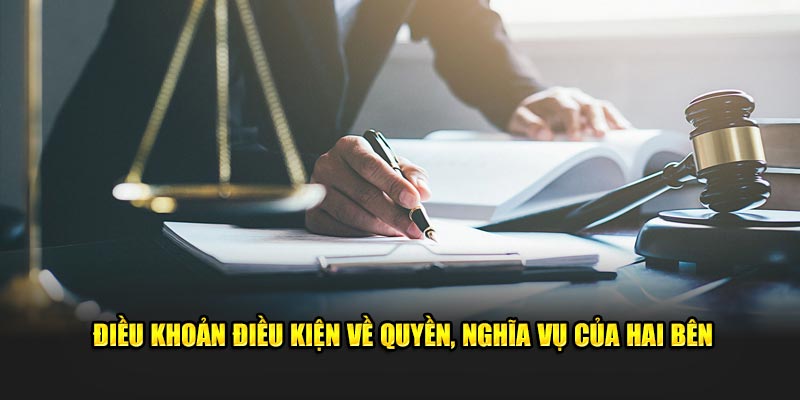 Điều khoản điều kiện về quyền, nghĩa vụ của hai bên