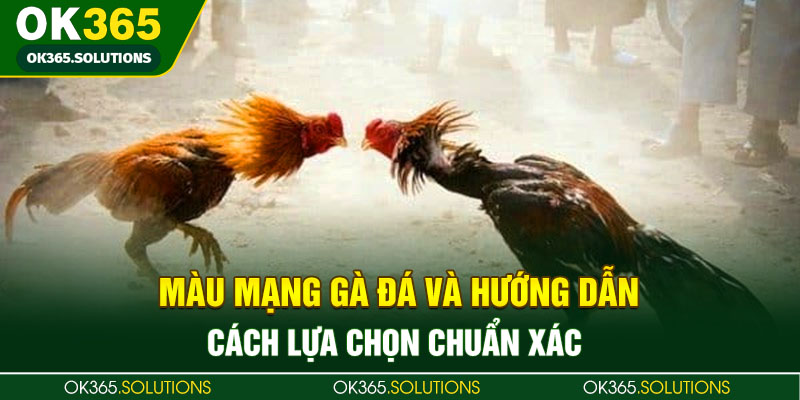 Màu Mạng Gà Đá Và Hướng Dẫn Cách Lựa Chọn Chuẩn Xác